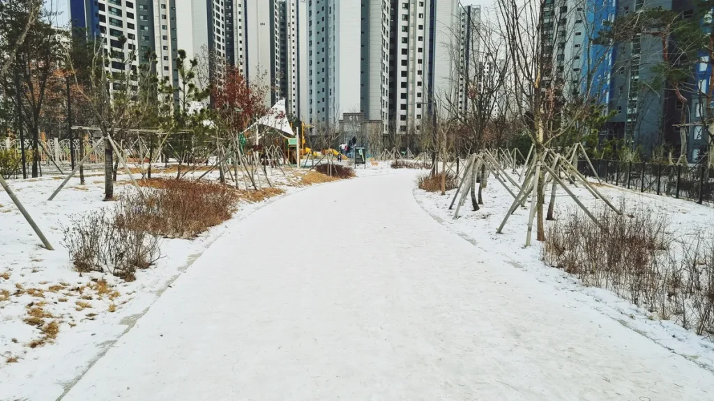 雪が残って凍ったソウルの歩道Photo: Pexels